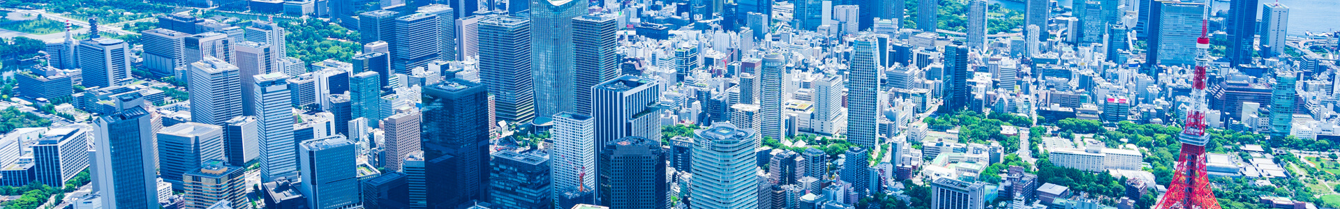 イメージ：上空からの風景